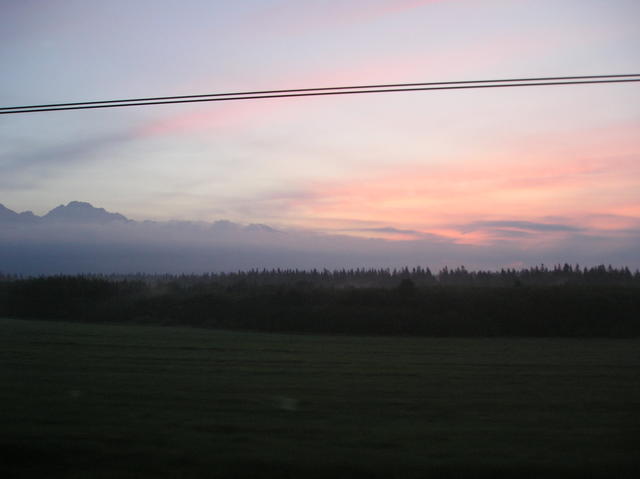 P1010004