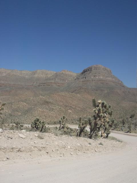 DSCF5121