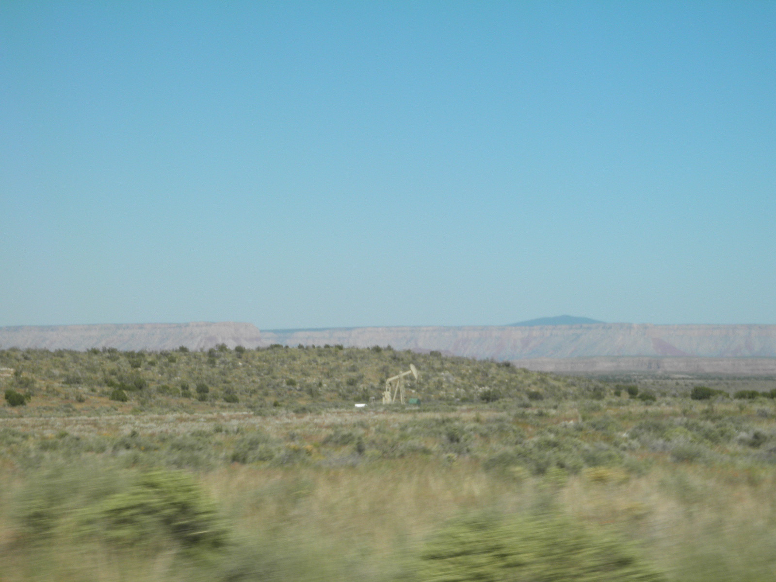 P9190548