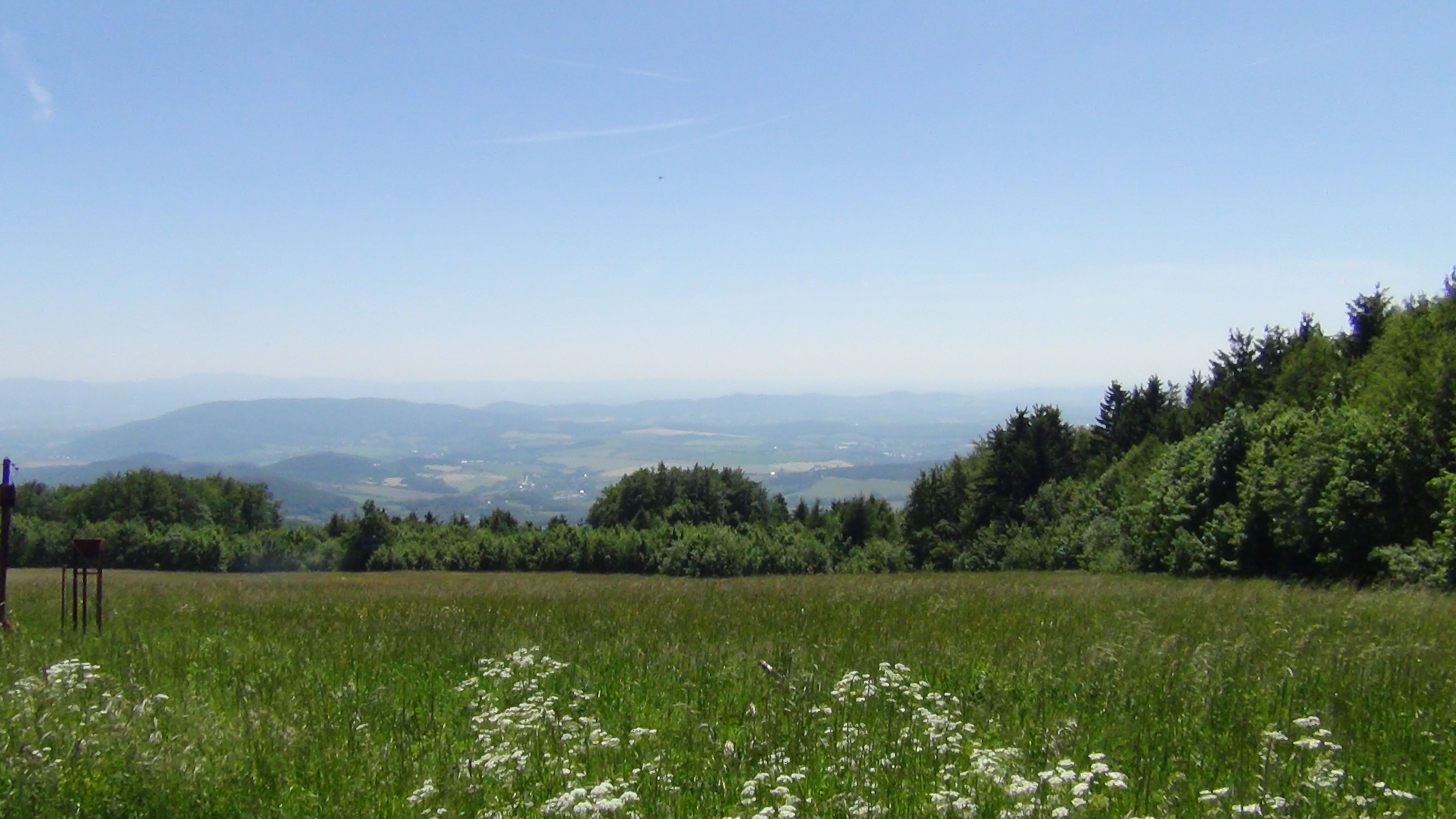 DSC00438