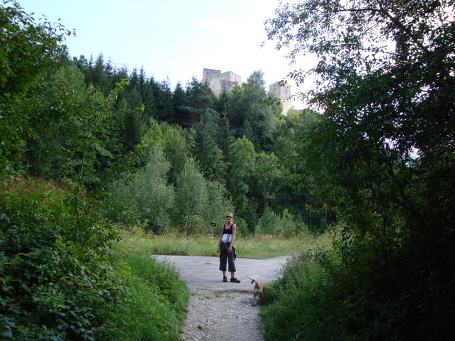 Cesta na hrad Strečno