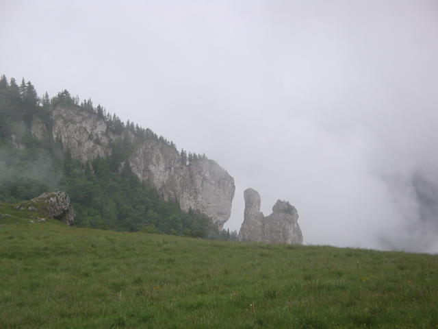 DSC01169