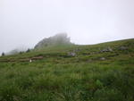 DSC01172