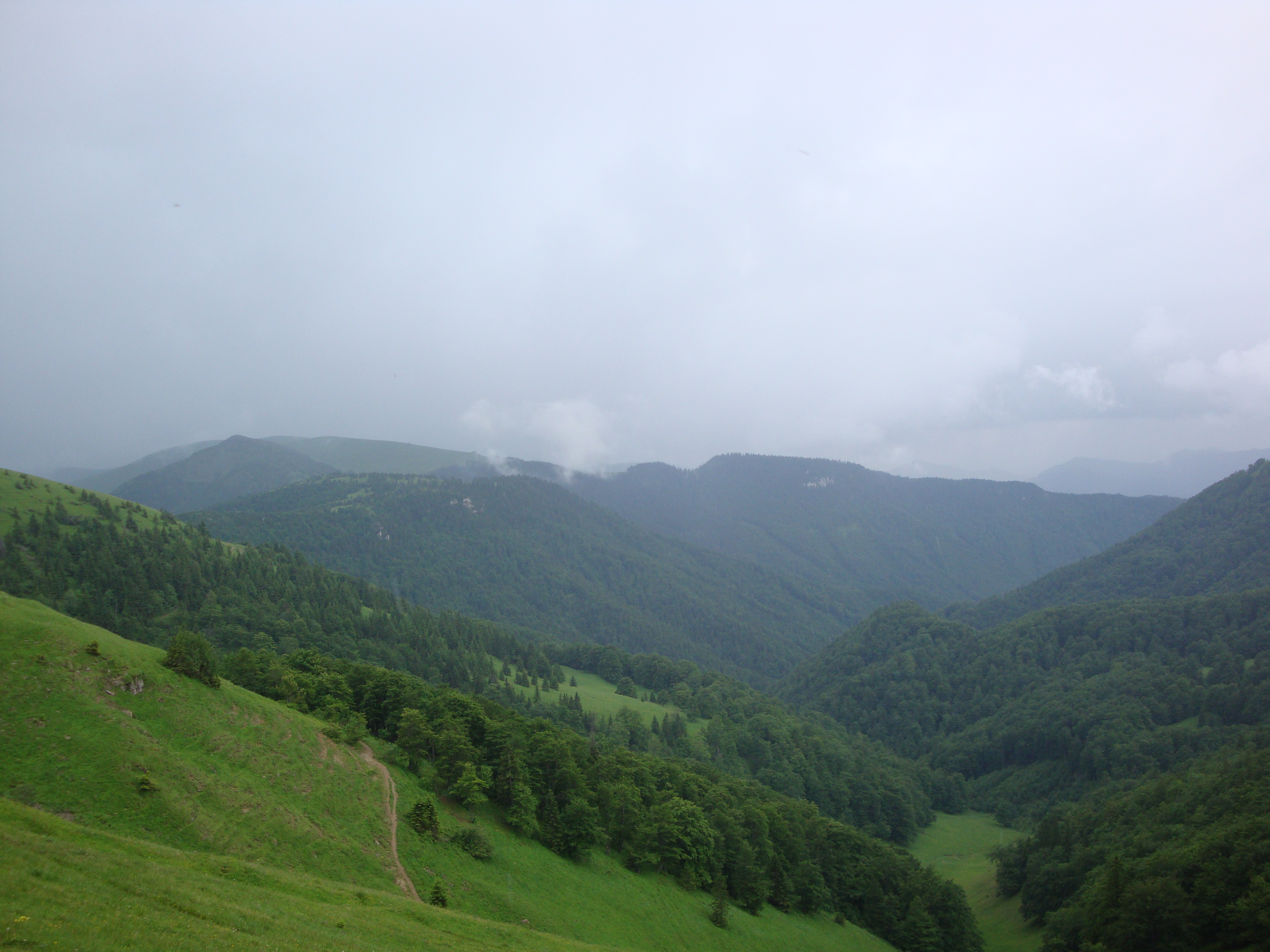 DSC01208
